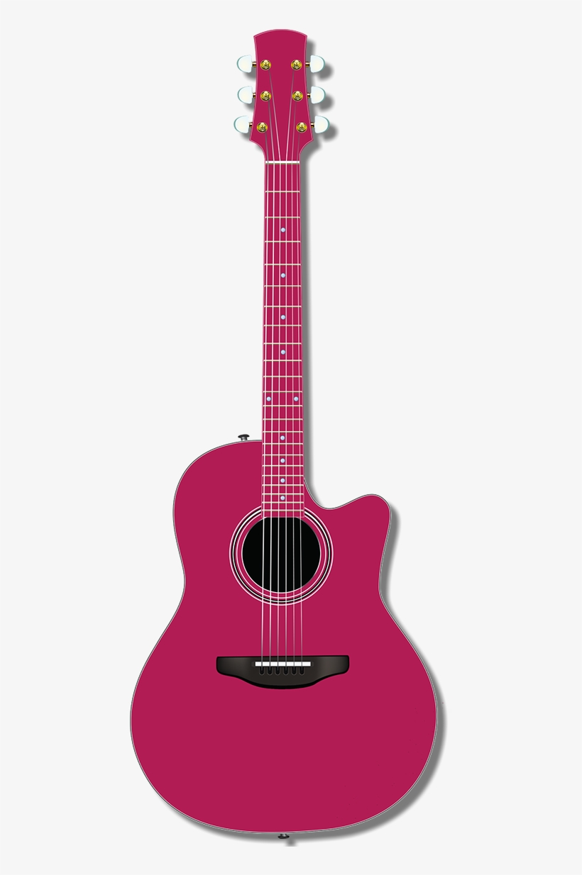 Barbed Wire & Roses - Acoustic Guitar, transparent png download