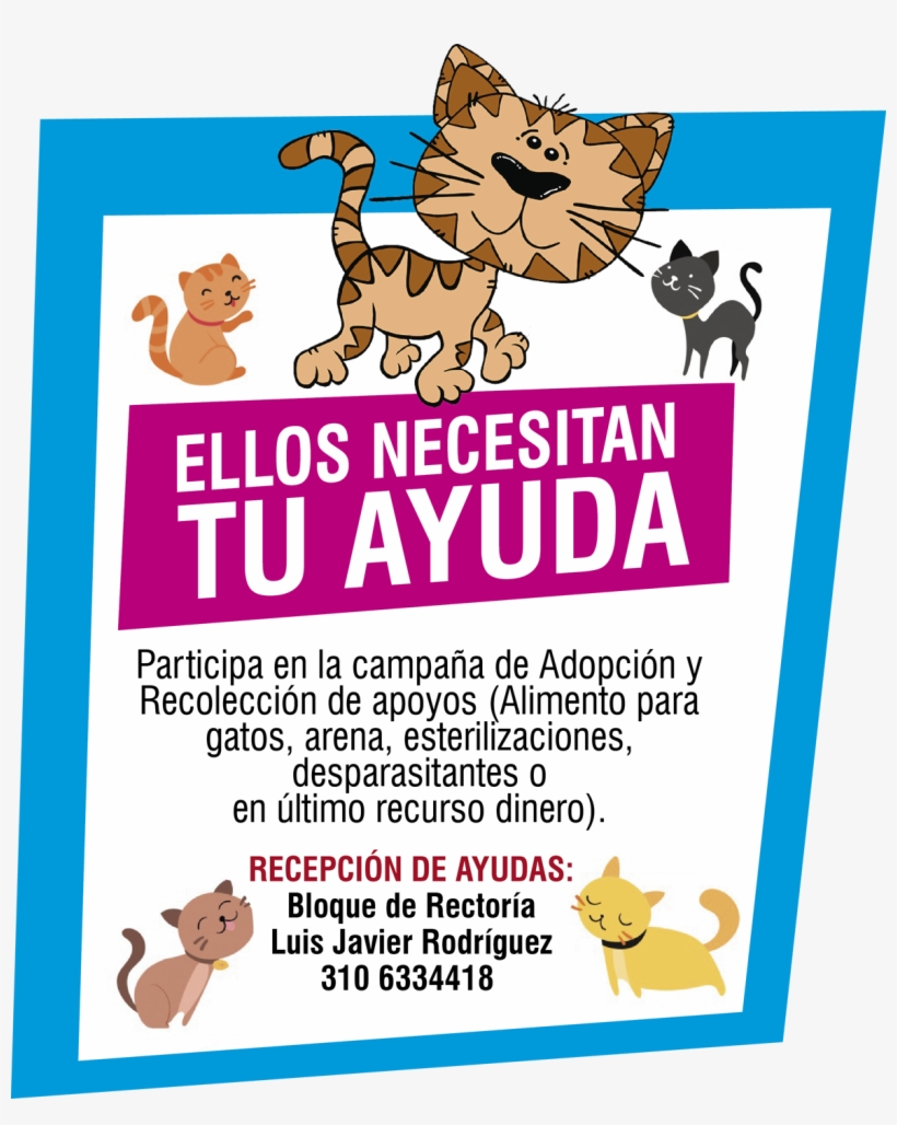 Katherine Schmidt Liked This - Cartoon Cat, transparent png download