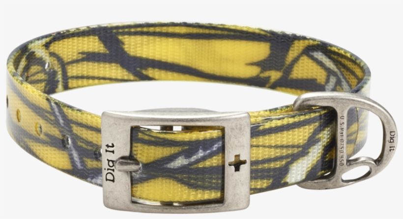 Belt, transparent png download