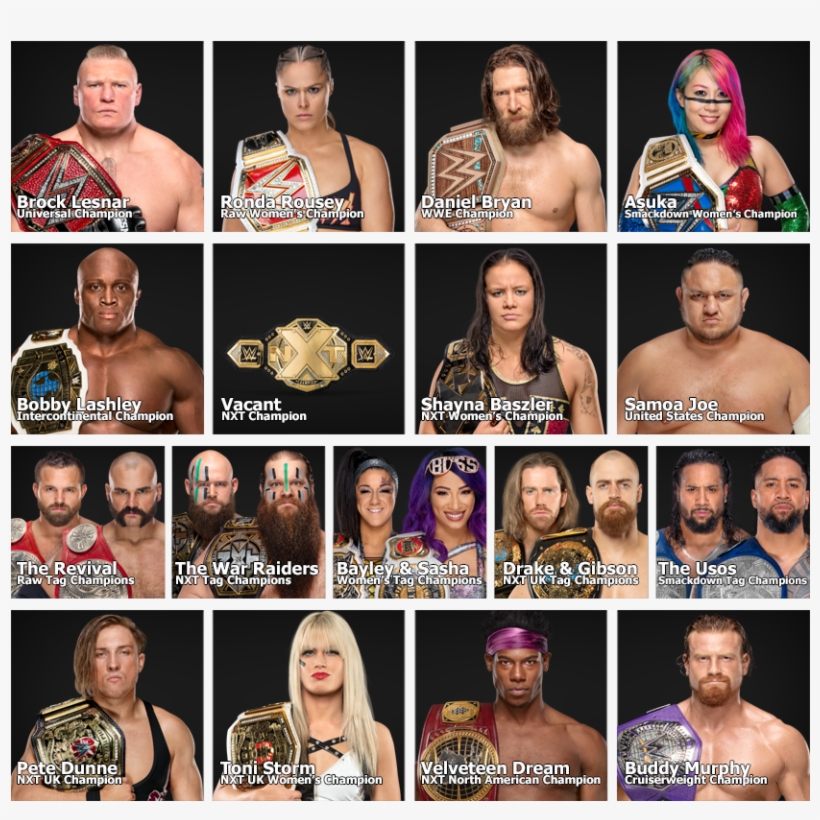 Cavauro Posted - - Collage, transparent png download