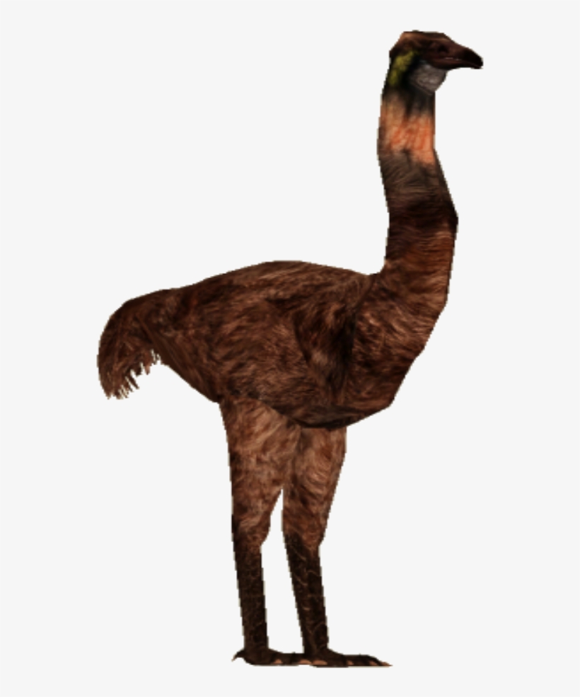 Image Giant Tyranachu Zt Download Library Wiki - Ostrich, transparent png download