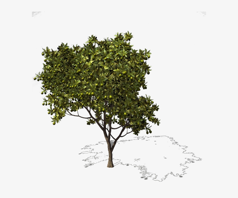 Plane, transparent png download