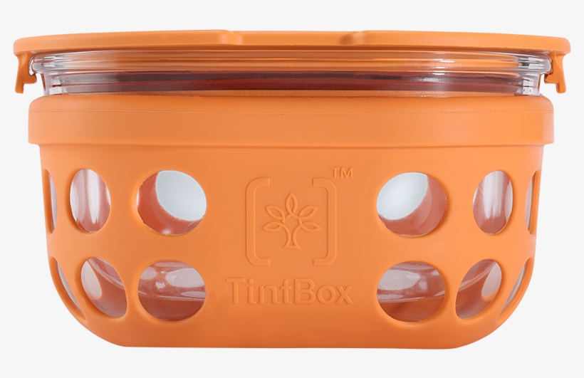 Tintbox Borosilicate Glass Food Container With Protective - Wood, transparent png download