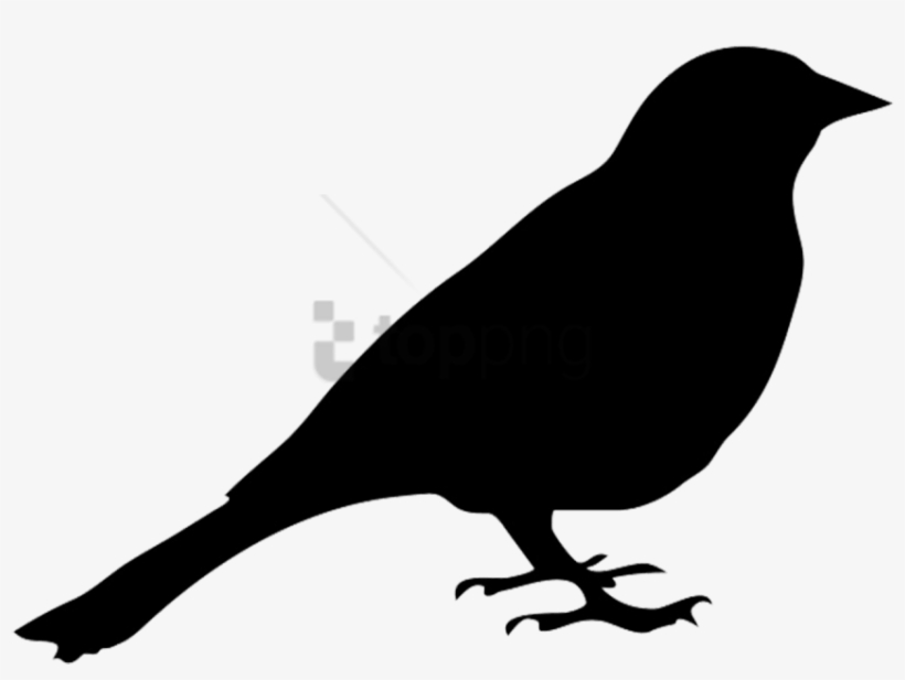 Free Png Download Silhouette Of Pigeon Png Images Background - Bird Silhouette No Background, transparent png download