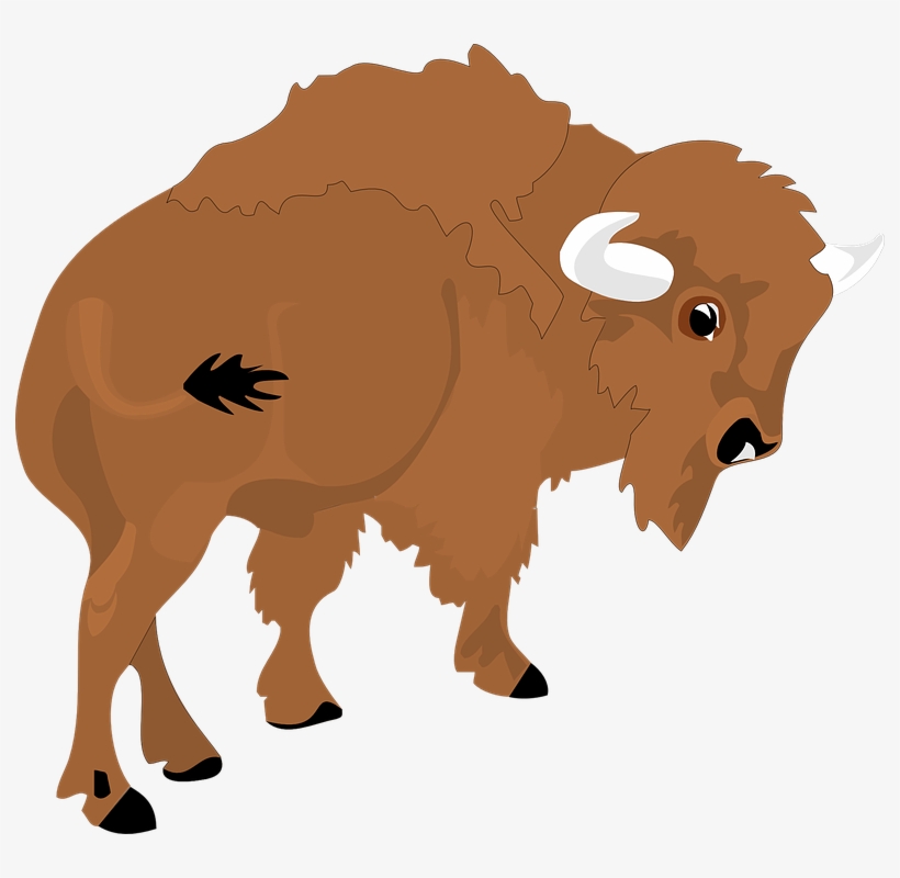 Transparent Bison Clipart, transparent png download