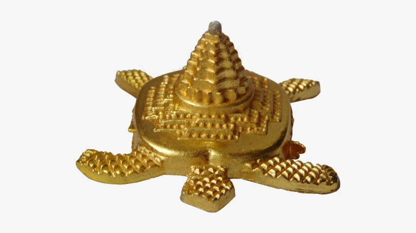 Slim Trim - Tortoise, transparent png download