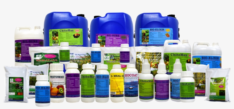 Dear All , Looking Forward For Your Strong Support - Fruit, transparent png download