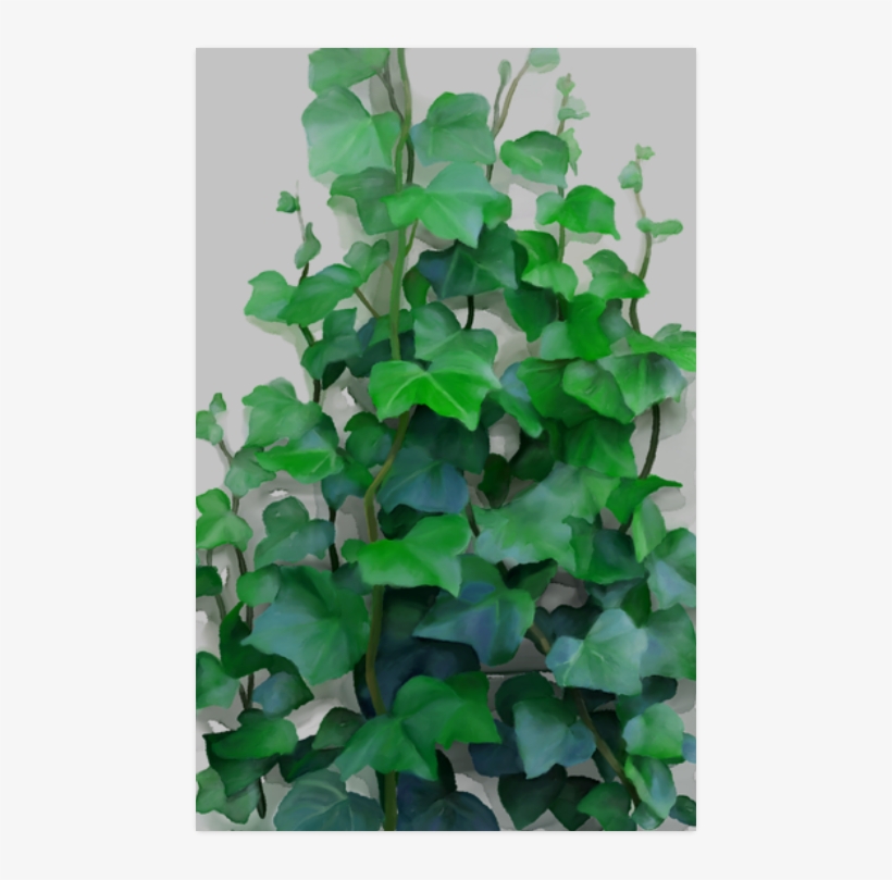 Green Creeper Wall Painting, transparent png download