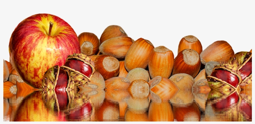 Canvas Print Autumn Apple October Buckeye Chestnut - Sagre D Autunno In Lombardia, transparent png download