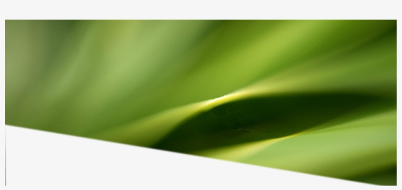 Commercial Dumpster Delivery, Dumpster Rental, Commercial, transparent png download