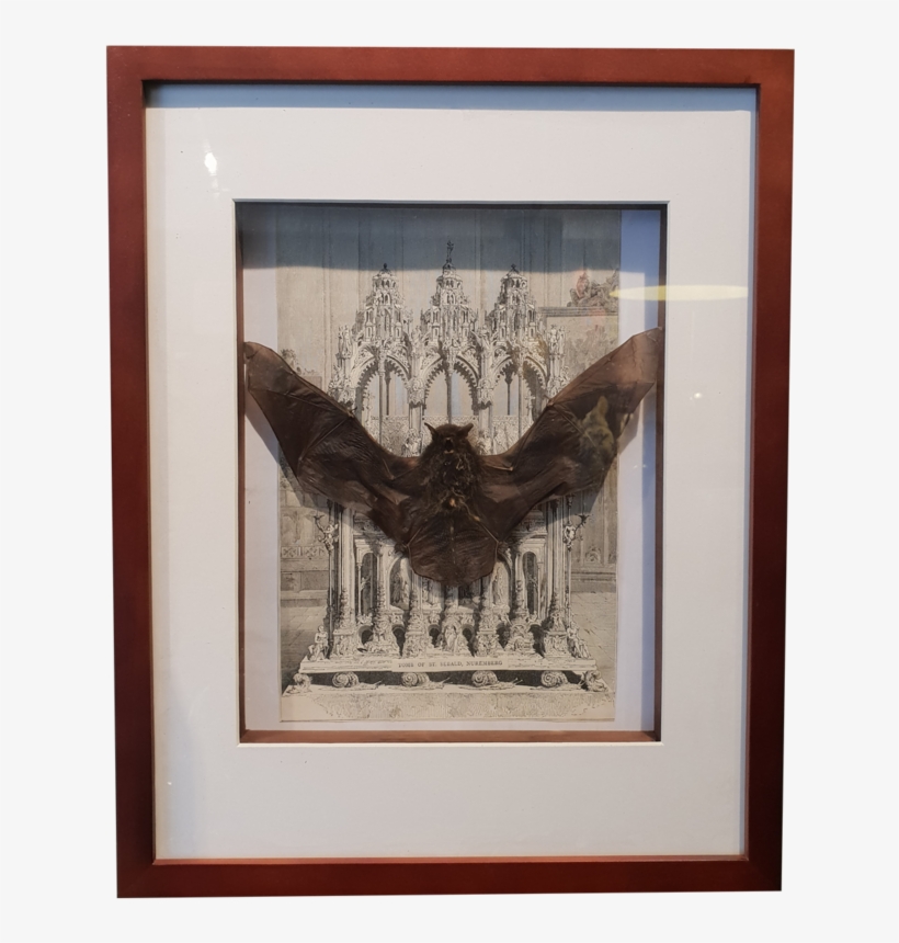 Vesper Bat With Victorian Lithograph In Large Frame - Picture Frame, transparent png download