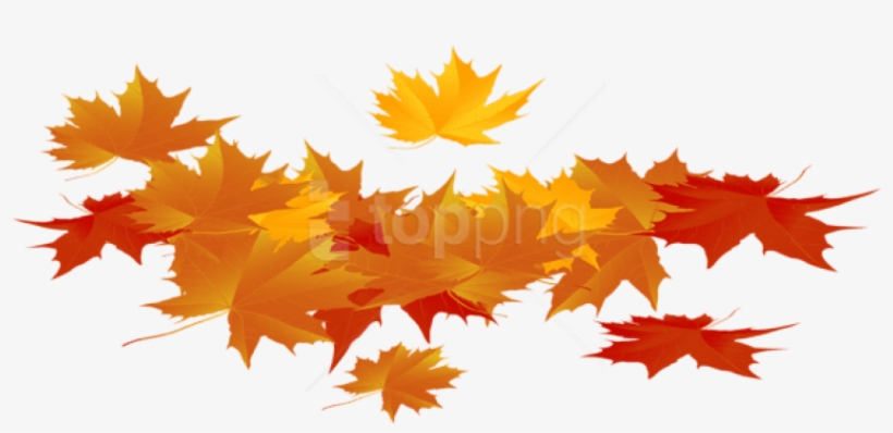 Free Png Download Autumn Leaves Clipart Png Photo Png - Autumn, transparent png download