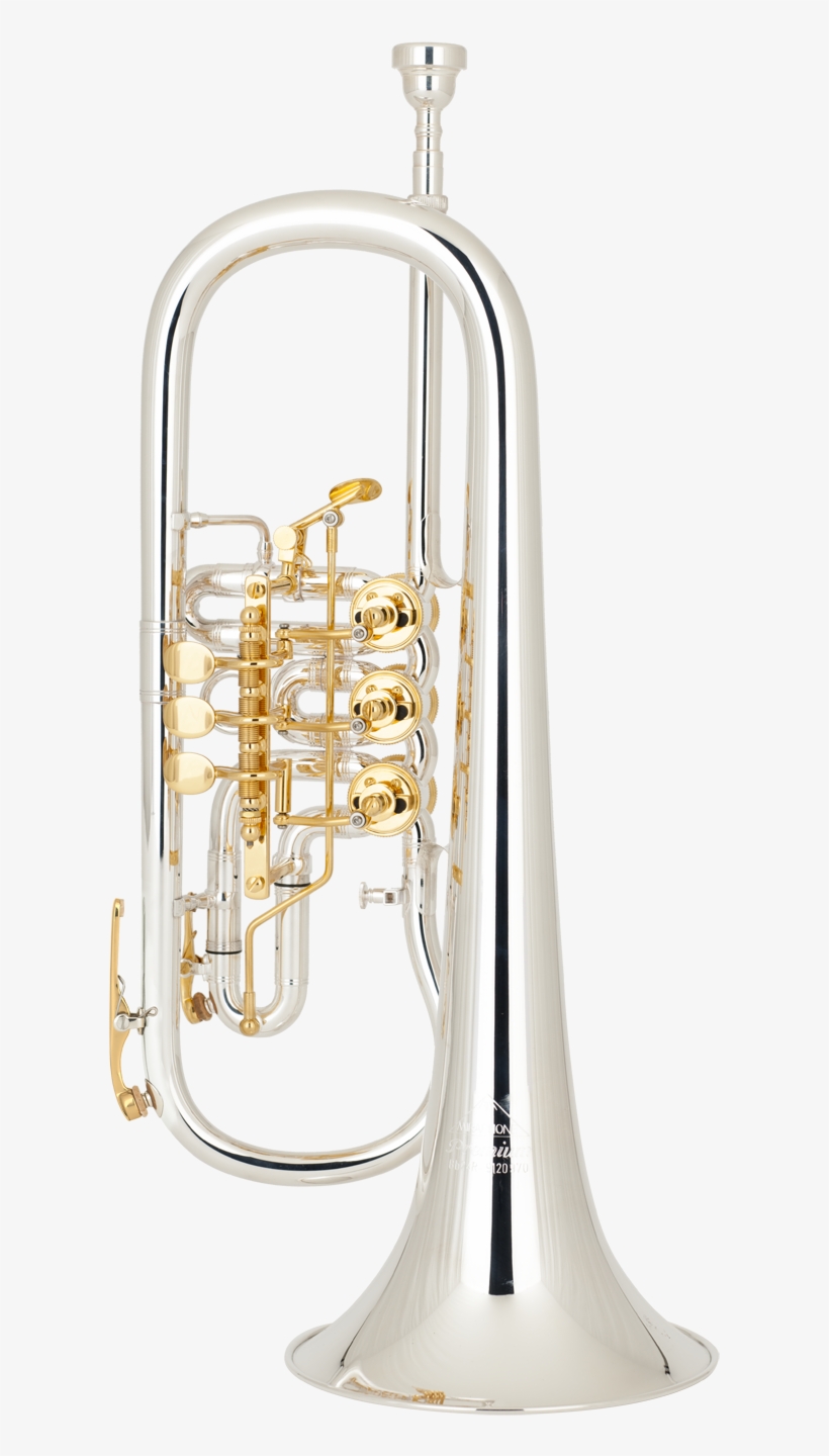 Miraphone Tuba Serial Numbers - Trumpet, transparent png download