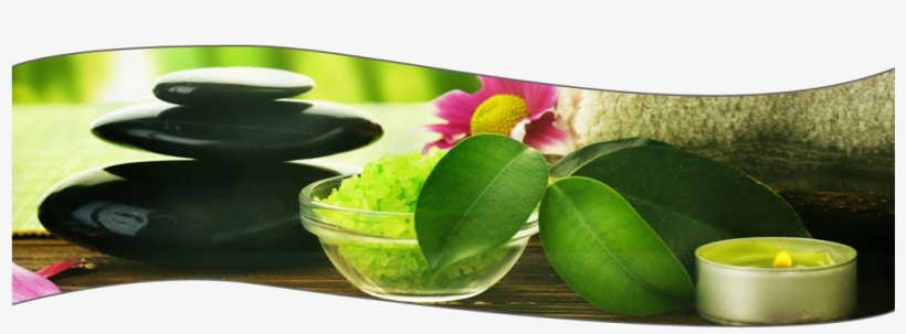 Welcome To Northshore Nails And Day Spa - Estetica Y Bienestar, transparent png download