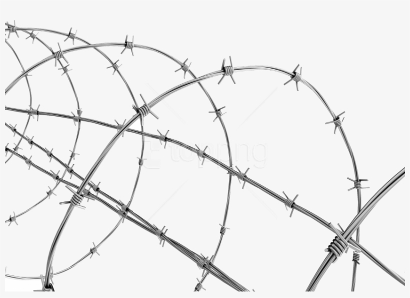 Free Png Download Barbwire Png Images Background Png - Transparent Background Barbed Wire Png, transparent png download