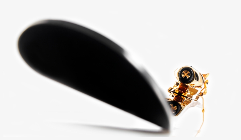 Your Oro-amaranto - Hornet, transparent png download