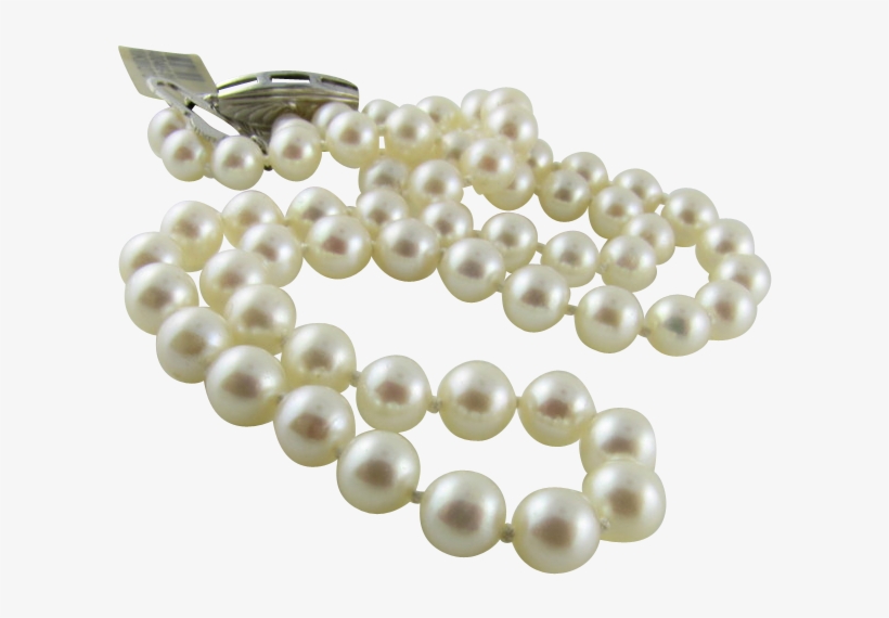 Lovely Mikimoto Pearl Necklace Mikimoto Pearls, Pearl - Pearl, transparent png download