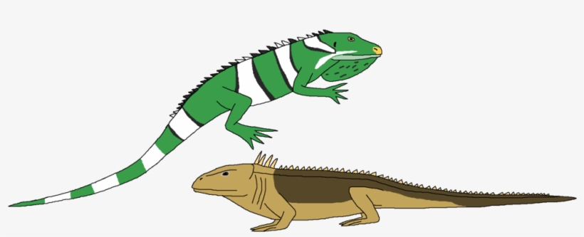 Iguana Clipart Real - Chameleon, transparent png download