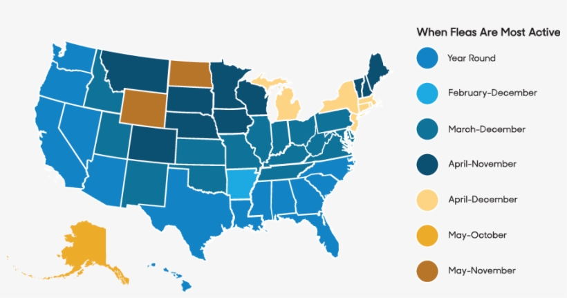 Based On Data From - John F. Kennedy Library, transparent png download
