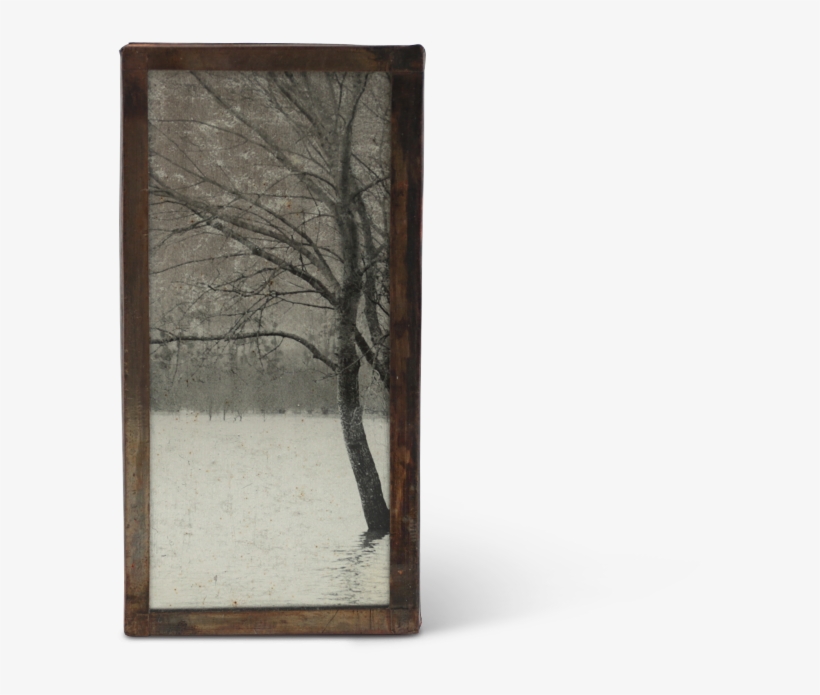 Wood, transparent png download