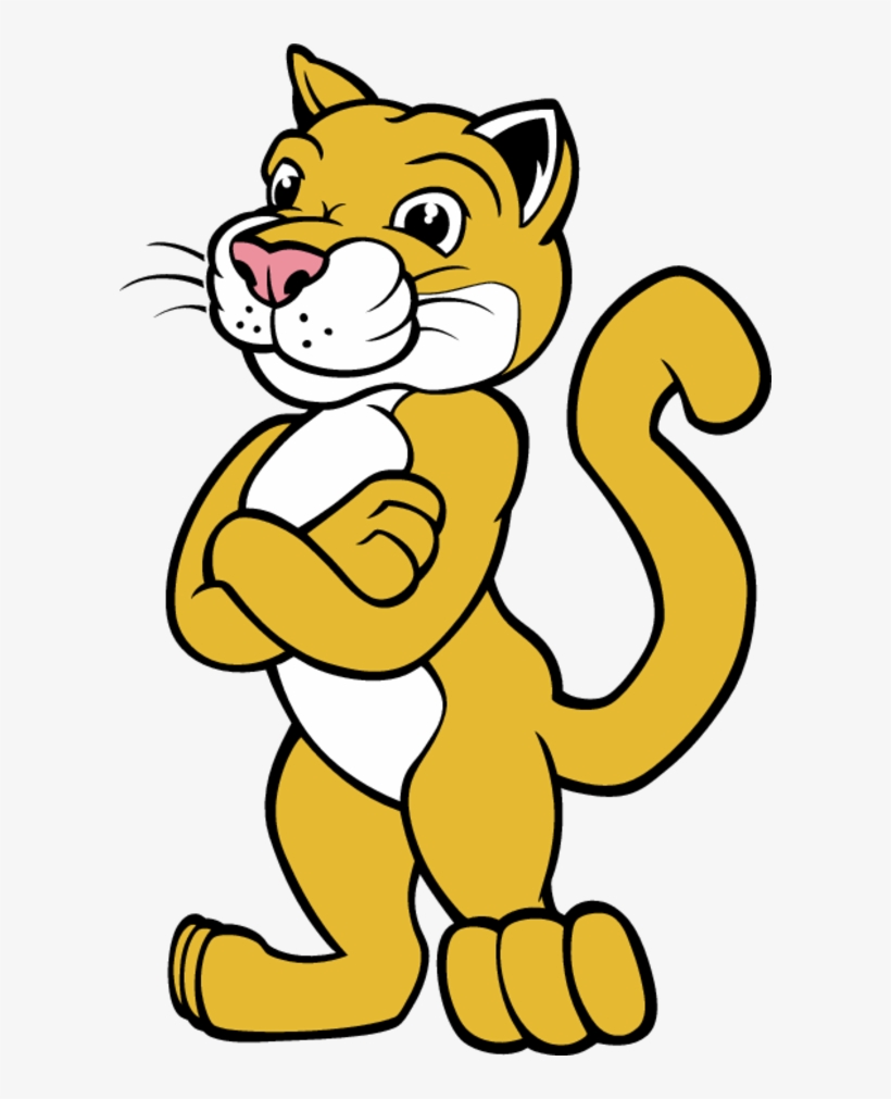Bobcat Clipart Bellevue - Aileen Colburn Elementary, transparent png download