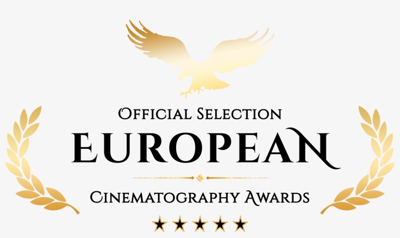 Black/gold - Hawk, transparent png download