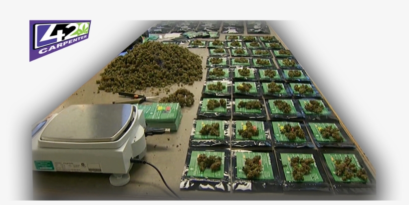 5 Most Informative Points About Marijuana Drugs - Grass, transparent png download