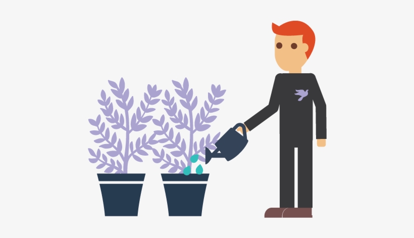 Marijauna Cannabis Production Watering Plant - Illustration, transparent png download