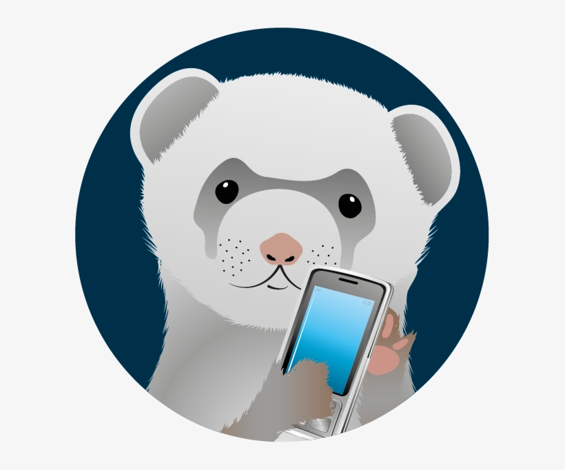Mobile Phone Ferret - Ferrette With A Phone, transparent png download