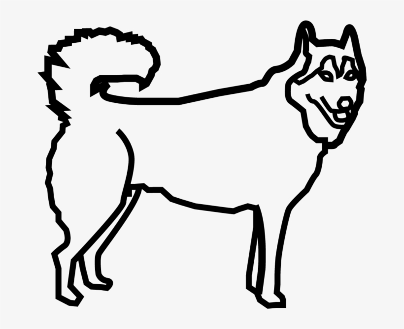 Husky Dog - Companion Dog, transparent png download