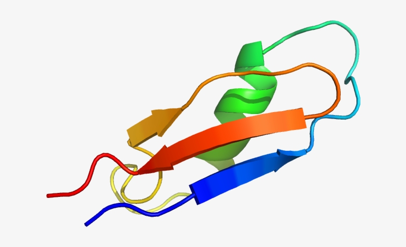 Clip Art, transparent png download