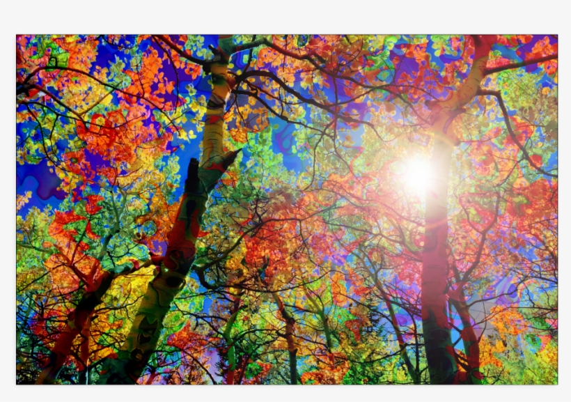 Colorful Canopy Poster - Creative Arts, transparent png download