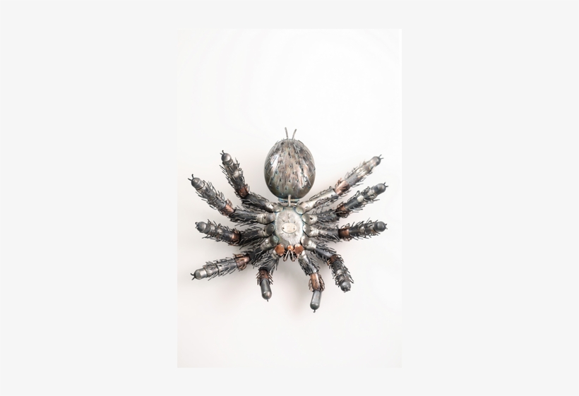 Insect, transparent png download