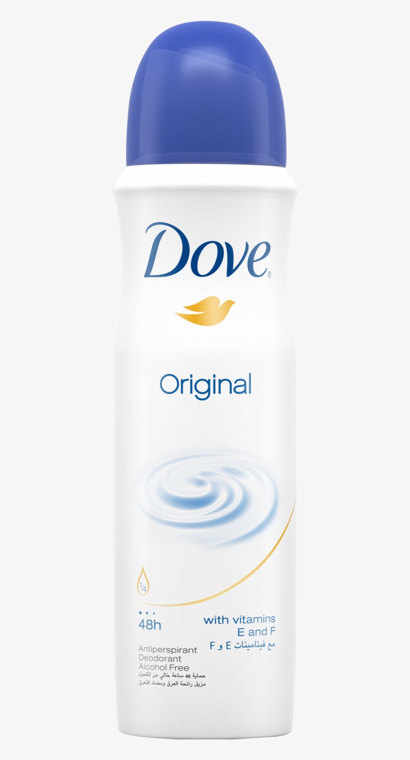 Dove, transparent png download