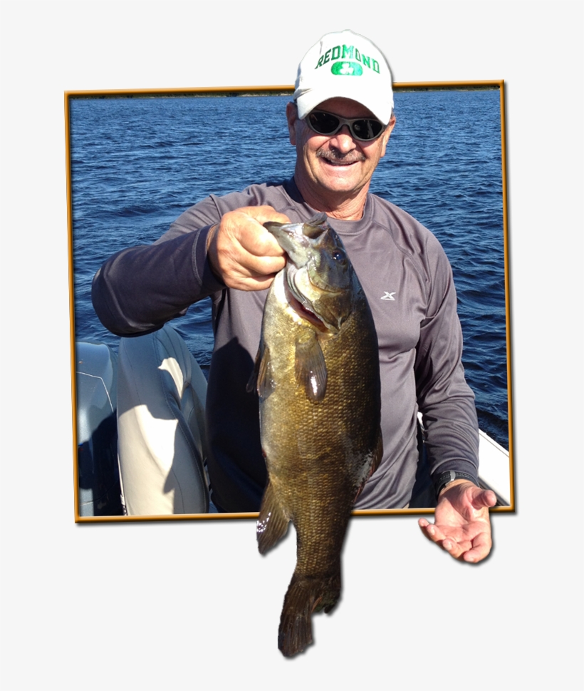 If We Don't Have The Best Smallmouth Bass Fishing In - Pull Fish Out Of Water, transparent png download