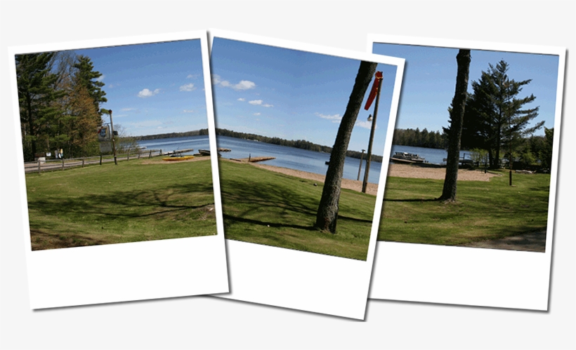 The Braywood Was Built In 1949 By Billy Bray And Frances - Grass, transparent png download