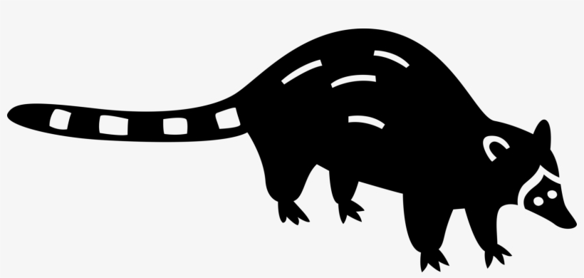 Vector Illustration Of North American Medium-sized - Marsupial, transparent png download