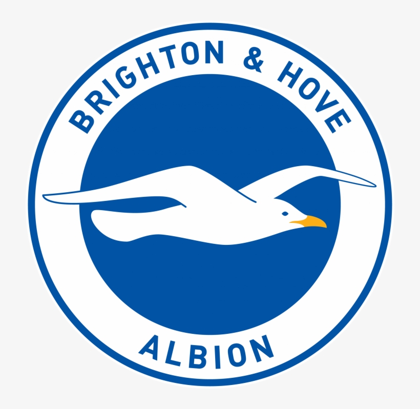 Seagulls “unfairly Tarnished” By Minimum Wage Offenders - Brighton And Hove Albion Logo, transparent png download