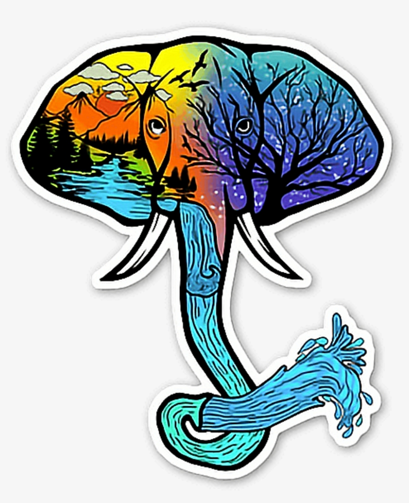 Psychedelic Clipart Fish, transparent png download