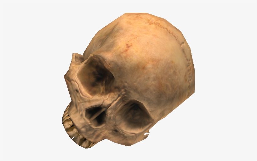 Skull - Halo Skull Png, transparent png download