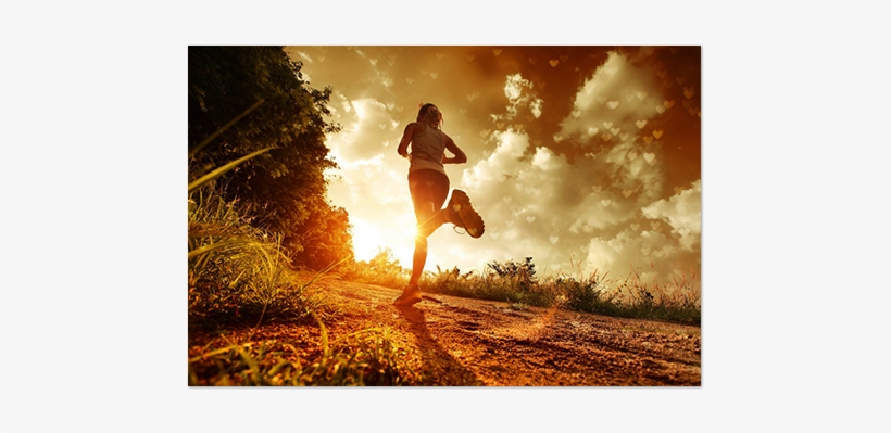 Heartbokeh5 - Dimagrire - Adesso Puoi!: Scheda Allenamento Dimagrante, transparent png download