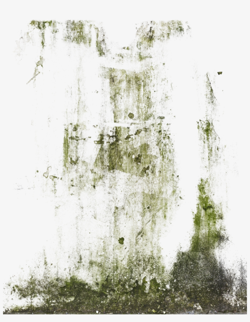 Decalbottom0038 1 S Decalbottom0039 1 S Decalsstain0018 - Moss Png, transparent png download