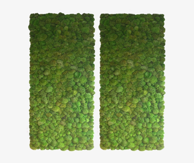 Bun Moss Wall 2, transparent png download