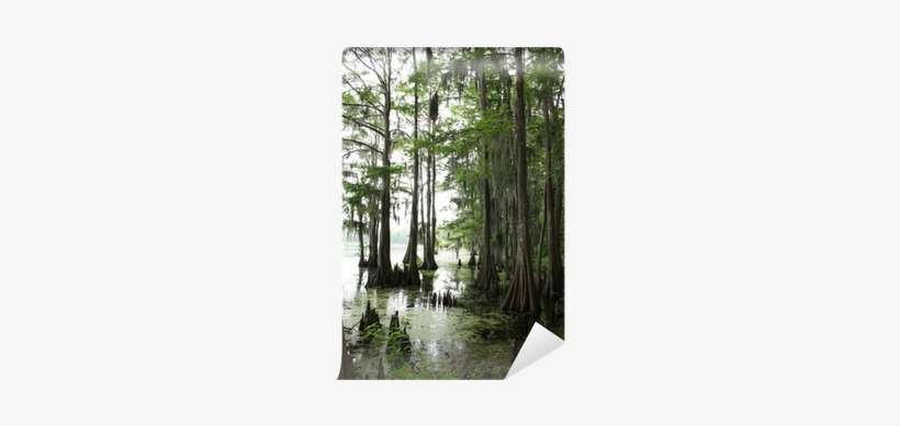 Universal Map 10496 Louisiana State Fold Map,, transparent png download