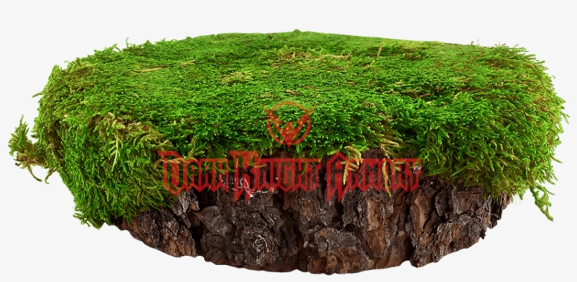 Mossy Tree Stump - Moss, transparent png download