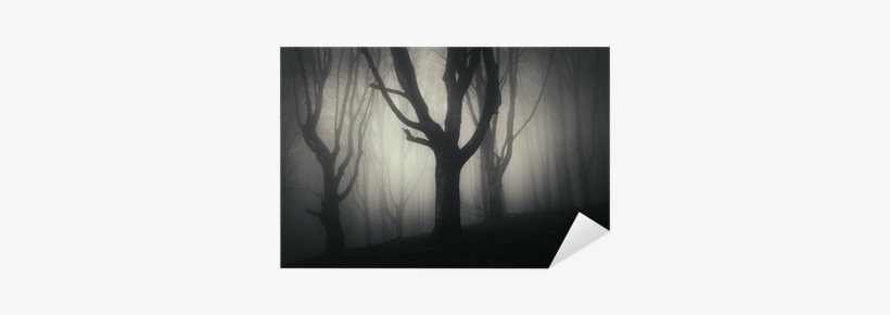 Halloween, transparent png download