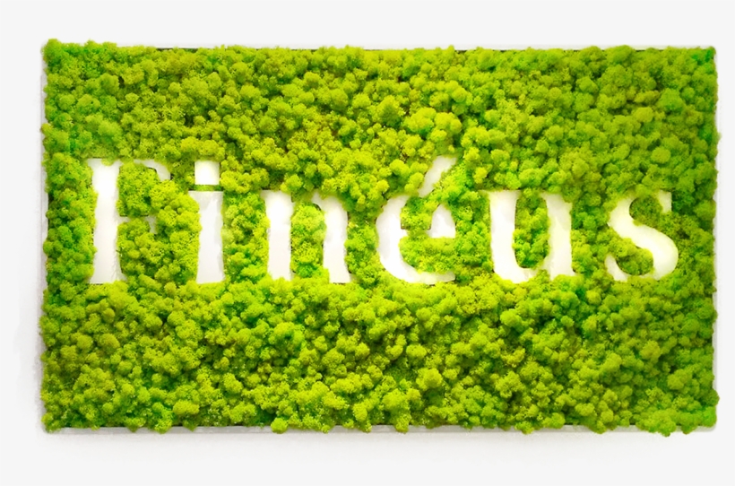 Previousnext - Logo Licheni, transparent png download