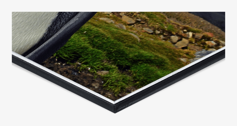 Natural Edge - Exhibition, transparent png download