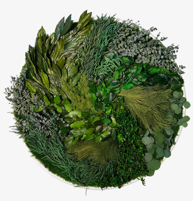 Bring The Splendour Of The Natural World Into Your - Grass, transparent png download