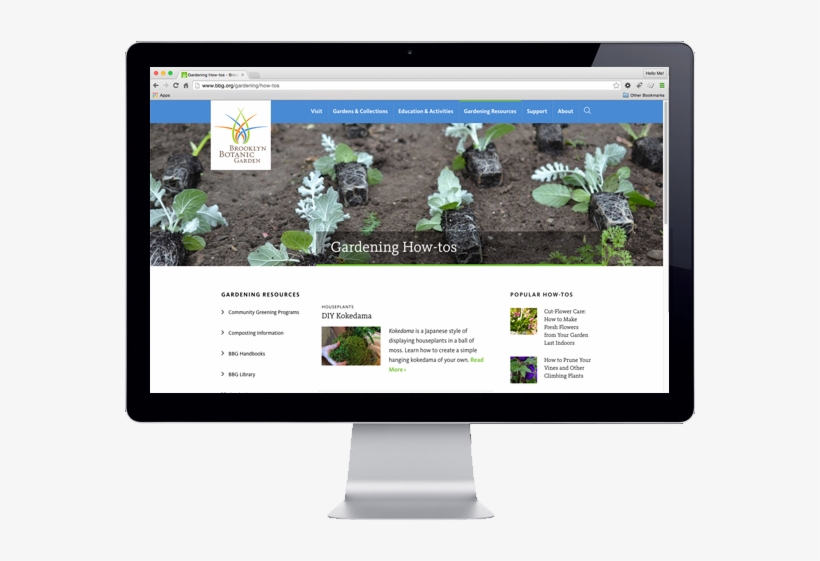 Brooklyn Botanic Garden - Flat Panel Display, transparent png download